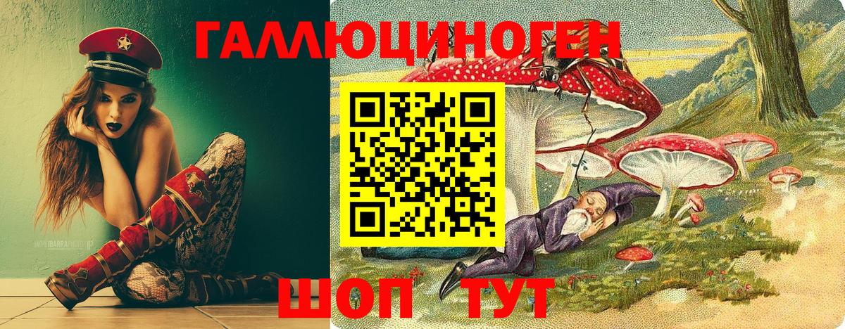 Псилоцибиновые грибы Psilocybine cubensis Сыктывкар